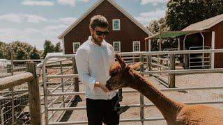 Bluebird Farm ALPACAS