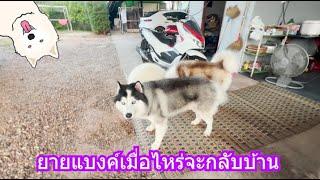 ยายแบงค์เมื่อไหร่จะกลับบ้าน | ข้าวเหนียว ขี้กระโปกหมา