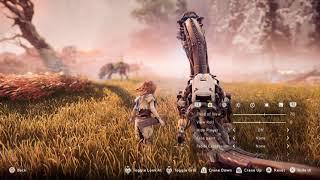 When Aloy met Oggles