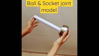 Body joints | Ball and socket joint 3D model Easy | Body movements class 6 science #ballandsocket,