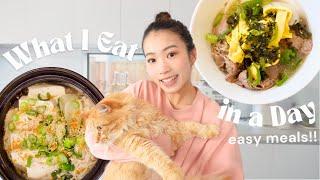 What I eat in a day to lose weight (healthy & easy meals)