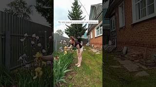 Для меня это - любоваться цветами #сад #огород #дом #цветы #счастье #настроение #мамавдекрете