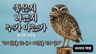 시인의 언어로 쓴, 삶이 내게 말하려 했던 것 / 류시화 산문집 / 오디오북 /책읽어주는