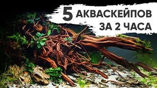 5 крутых акваскейпов за 2 часа