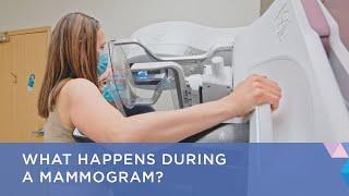 What Happens During a Mammogram?