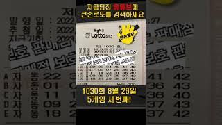 [매일 업데이트] 1030회 8월 26일 로또 자동 번호 공유 50게임! 오늘도 행복한 하루 되세요🫶 #로또1등 #로또당첨 #로또 #큰손로또
