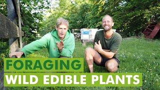 Learn to Forage Wild Edibles with Sam Thayer and Robin Greenfield