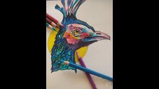 Suddenly got an idea! Just did it! #art #shorts #artholic #peacock.Hope you will like it.. 