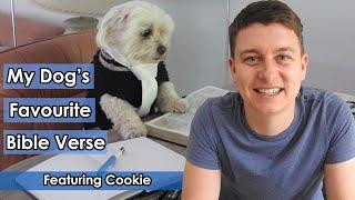 My Dog's Favorite Bible Verse | Even The Dogs Eat The Crumbs... | Featuring: Cookie The Dog! 