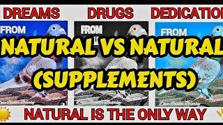Pigeons Racing Pigeons Natural supplements Jim Emerton