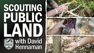 How to Scout for Deer on Public Land in Virginia