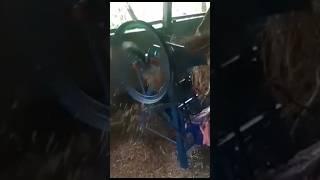 master agro