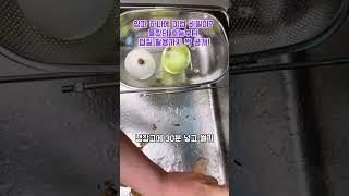 양파 하나에 이런 비밀이? 몰랐던 효능부터 껍질 활용까지 싹 공개! #양파효능 #양파요리 #면역력강화