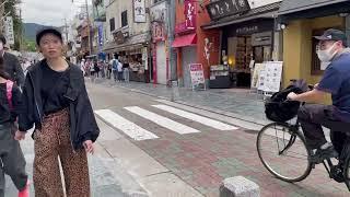 JAPAN VLOGS - NARA DIARIES 13