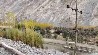 Autumn in Village Tsogsti to Kaya Leh Ladakh