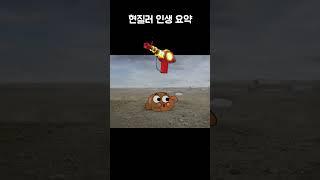 현질러 인생 요약