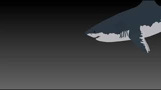 animation test/wip) mega shark  vs mecha shark