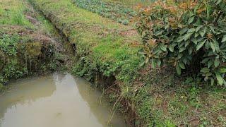 Water harvesting from surface runoff at the farm