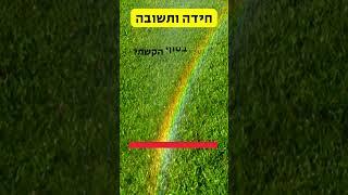 חושבים שאתם מספיק חכמים כדי לפתור את החידה הזו? תחשבו שוב!