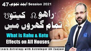 What is Rahu Ketu how it works | Effects on All Houses | LEC 47 Astrologer Ali Zanjani Session 2021