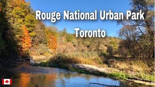  Hiking in Rouge National Urban Park| A Go-To Destination for Nature Lovers |Toronto | Canada