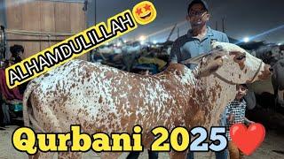 Alhamdulillah Qurbani 2025||Northern Bypass Mandi Se Bachri Leli||Vlog with osama