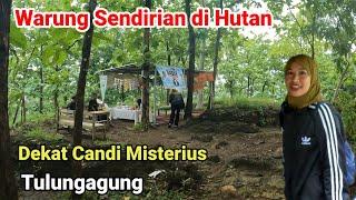 Warung Sendirian di Hutan Dekat Candi Dadi Tulungagung