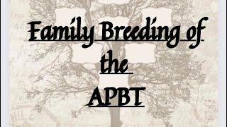 Family Breeding Of The APBT