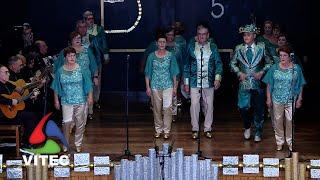 Bailinho da Vila Nova - "O Azar da Minha Sorte" - Carnaval Sénior 2025