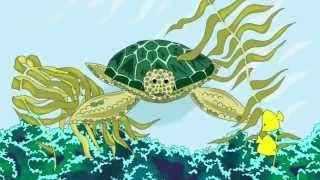 Myrtle the Turtle (kids animated film)