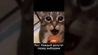 #рашанаша