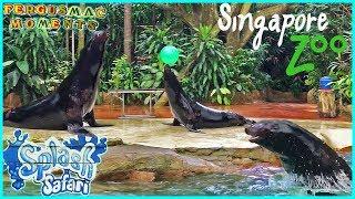 Splash Safari Show at Singapore Zoo.