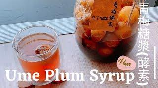 糖漬青梅(酵素) I Ume Plum Syrup