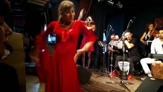 Елена Суворова (вокал) и компания