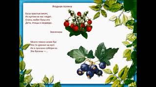 Видеопрезентация «Лес»