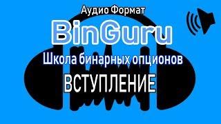 БинГуру/BinGuru. Аудио версия. Вступление.