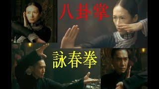 格闘技 詠春拳 VS 八卦掌【中国拳法】