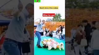 Top 10 cute dogs in the world || दुनिया के 10 सबसे प्यारे कुत्ते | #shorts #dog #cute