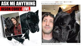 Cane Corso LIVE Ask Me Anything - Jason Corey