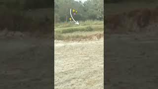 snake  dance video #snake #snakedance #shorts #ytshortsindia