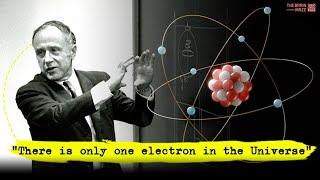 "One Electron Wonder: John Wheeler's Mind-Blowing Theory Explained!"