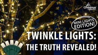 What is a Twinkle Light Anyway? Mini Lights Edition!