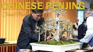 Chinese Penjing Demonstration with Interview