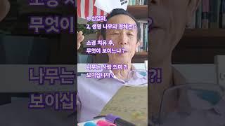 이것이 보이면 성경은 엄청 쉽습니다! 선악과, 생명  나무의 정체는?