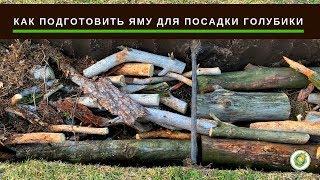 ГОЛУБИКА - как правильно подготовить яму для посадки