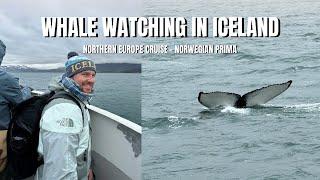 We almost Hit a Whale with our boat! Day 3 - Norwegian Prima Northern European Cruise