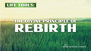 Life Tools: The Divine Principle of Rebirth | davidji