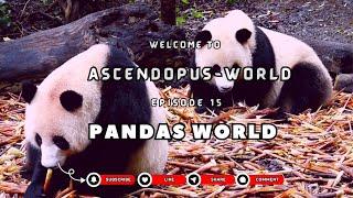 Episode 15: Creatures of Earth  I Pandas World I @Ascendopus-World