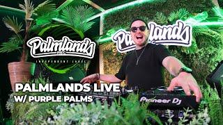 Purple Palms - Tech House Live on PALMLANDS 02.12.2024