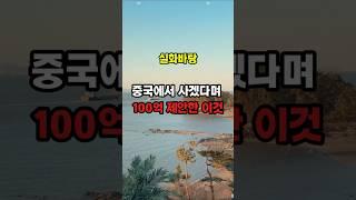 중국에서 사겠다며 100억 제안한 이것이 충격입니다